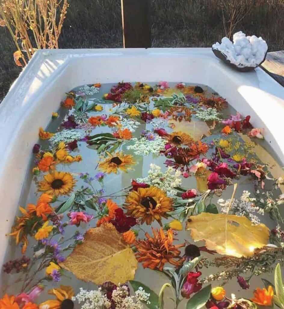Flower Bath