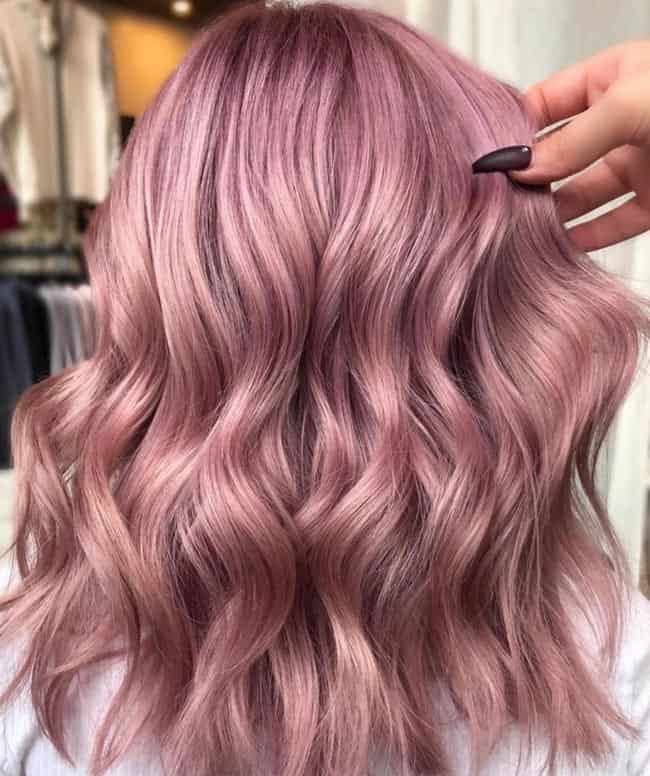 Velvet Rose Hair