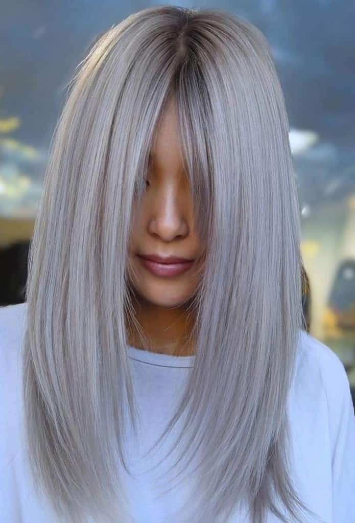 Velvet Silver Hair