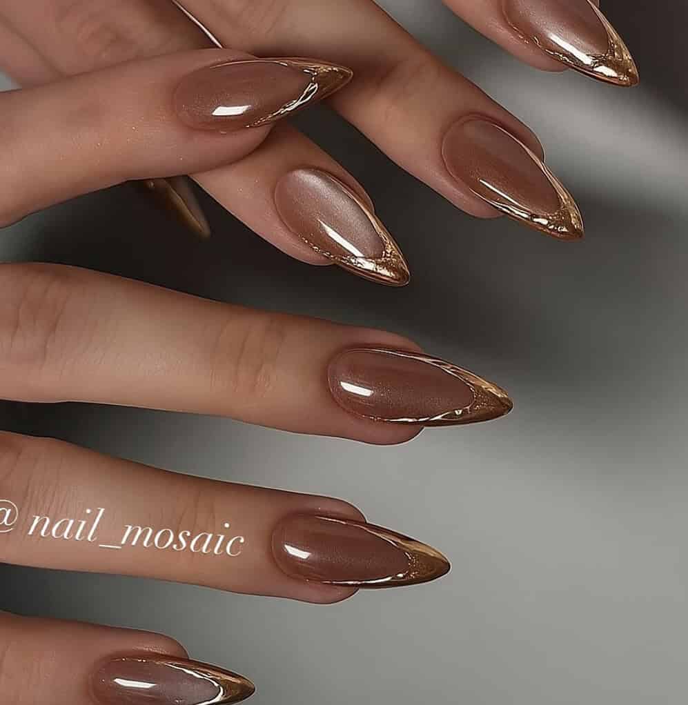 Glossy Brown With Gold Tip