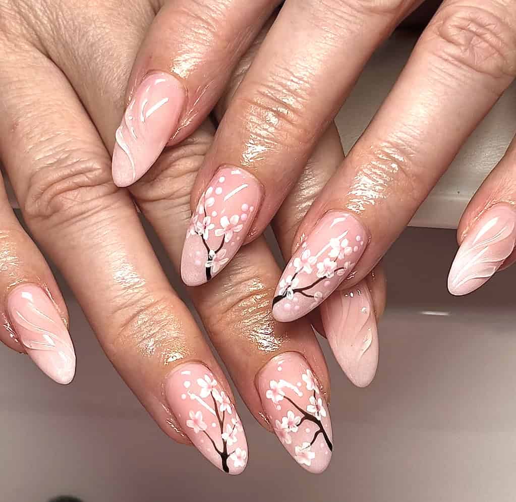 Cherry Blossoms