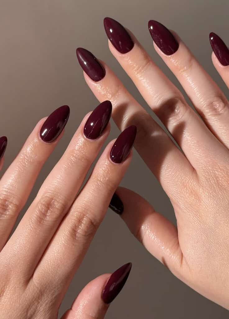 Classic Glossy Wine Nails