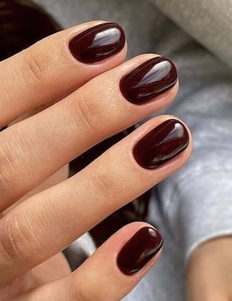 Short and Polished Dark Nails